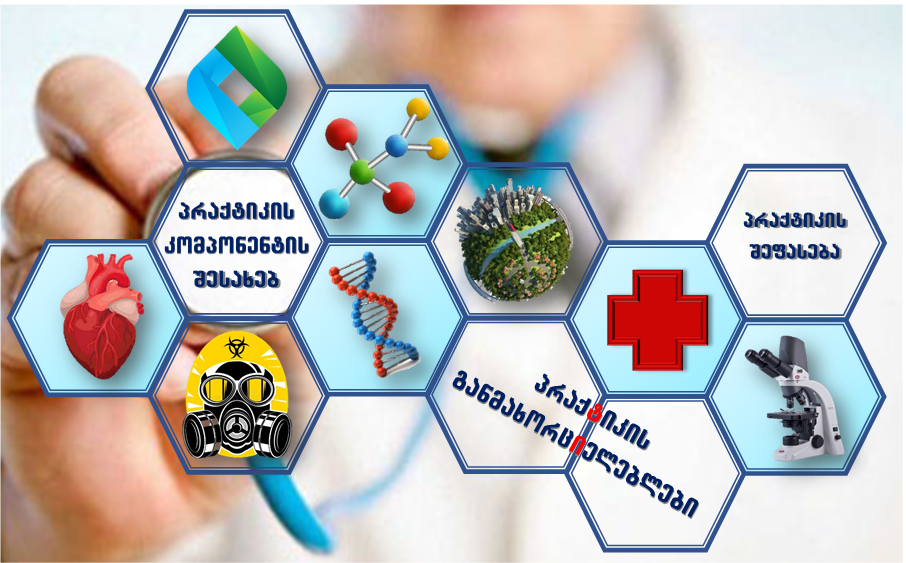 პრაქტიკის კომპონენტის შესახებ