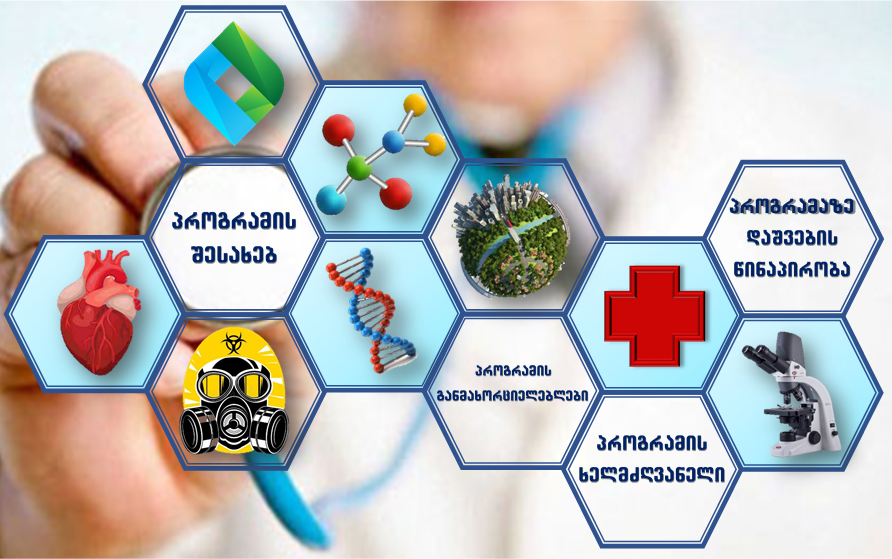 პროგრამის ხელმძღვანელი